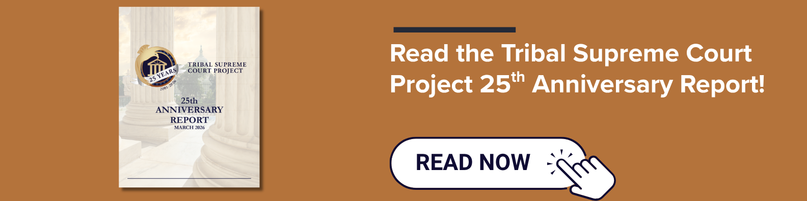 Click here to download 25th anniversary report as a PDF file. Photo of report cover.